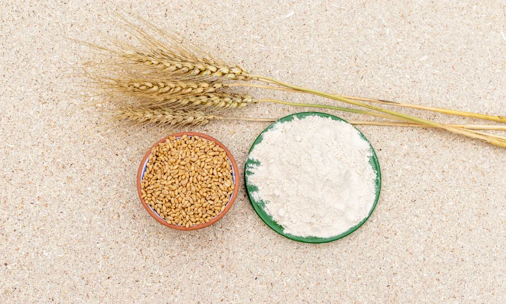 a bowl of wheat flour and wheat ears source of carb